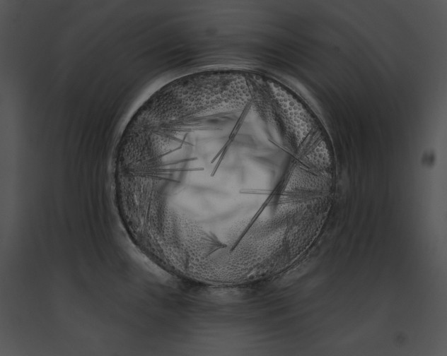 X0000091171243200708301149