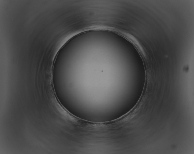 X0000091171244200708301149