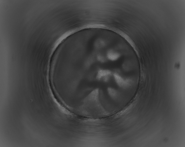 X0000091171245200708301149