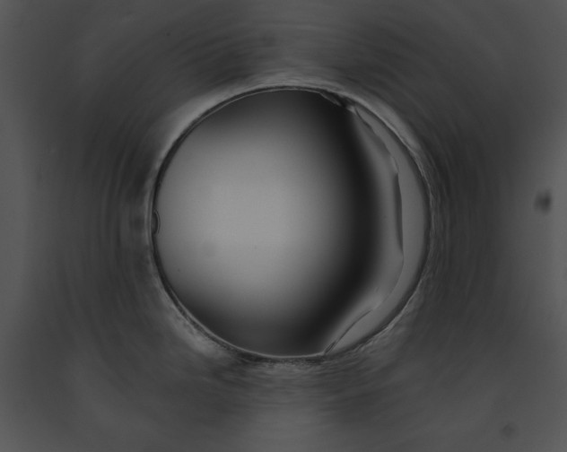 X0000091171246200708301149