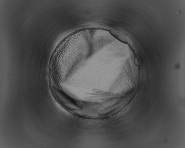 X0000091171247200708301149