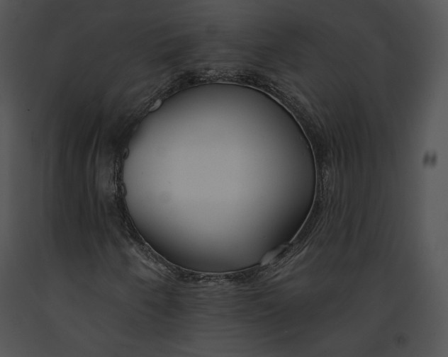 X0000091171250200708301148