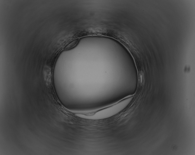 X0000091171251200708301148