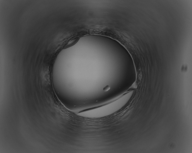 X0000091171252200708301148