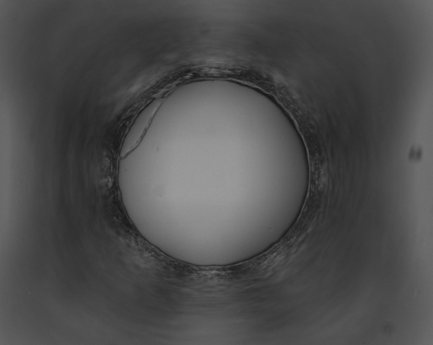 X0000091171253200708301148