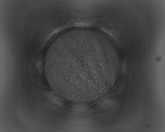 X0000091171254200708301148