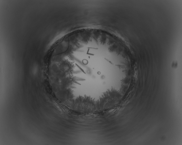 X0000091171255200708301148