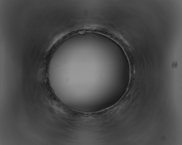 X0000091171256200708301148