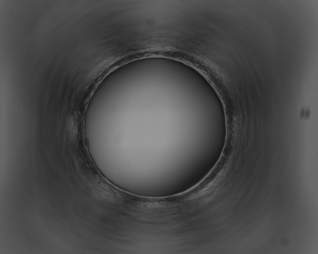 X0000091171257200708301148