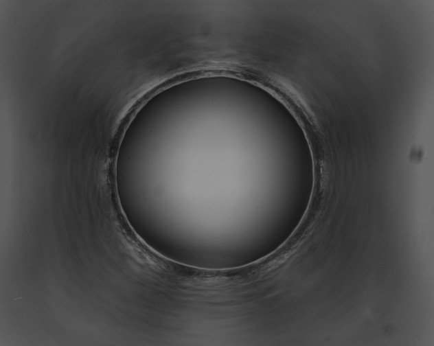 X0000091171260200708301148