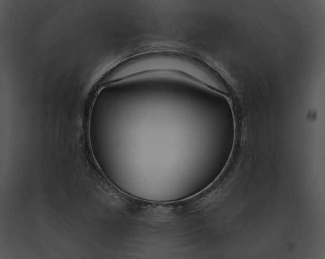 X0000091171261200708301148