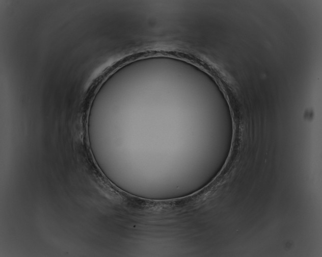 X0000091171262200708301148