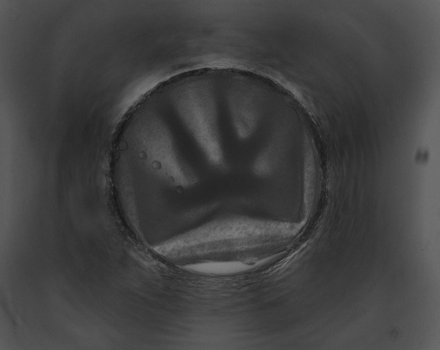 X0000091171263200708301148