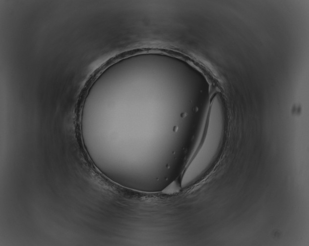 X0000091171264200708301148