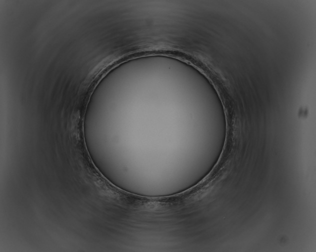 X0000091171265200708301148