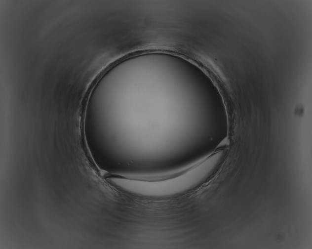 X0000091171268200708301148