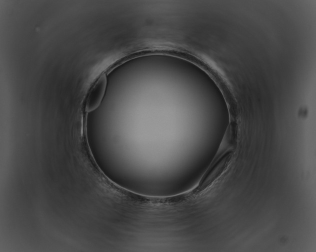 X0000091171269200708301148