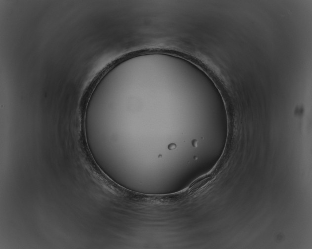 X0000091171270200708301148