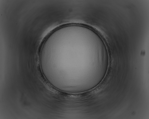 X0000091171271200708301148