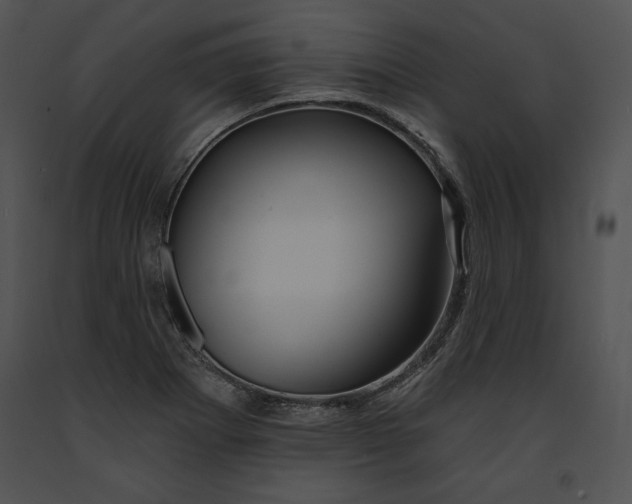 X0000091171273200708301148