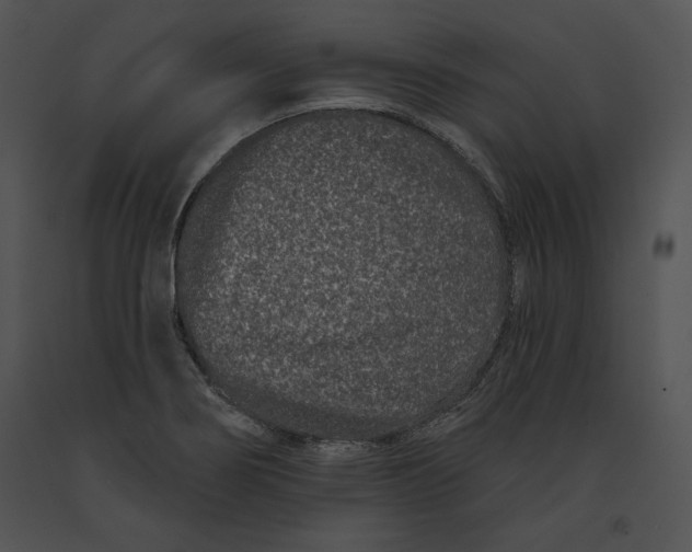 X0000091171274200708301148