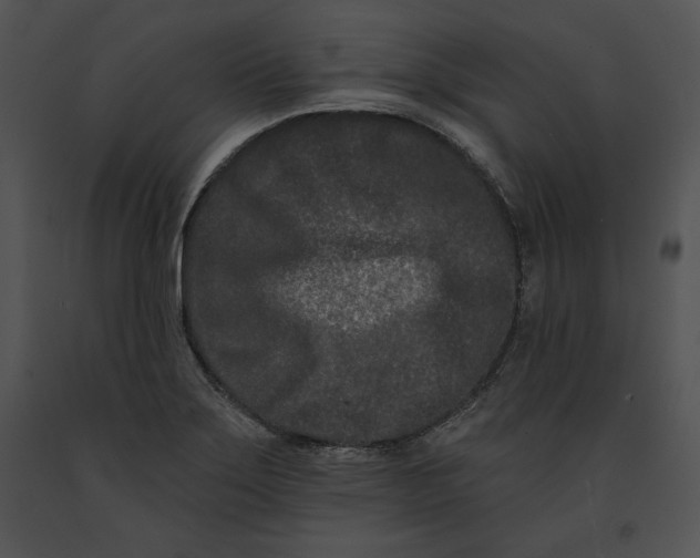 X0000091171275200708301148