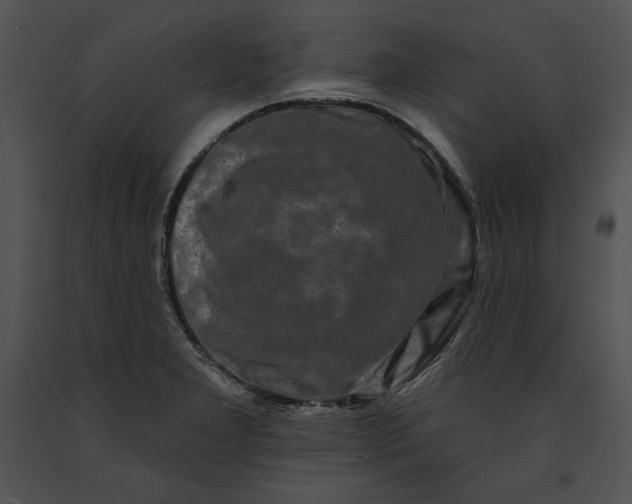 X0000091171277200708301148