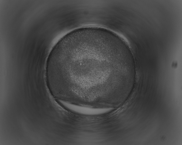 X0000091171279200708301148