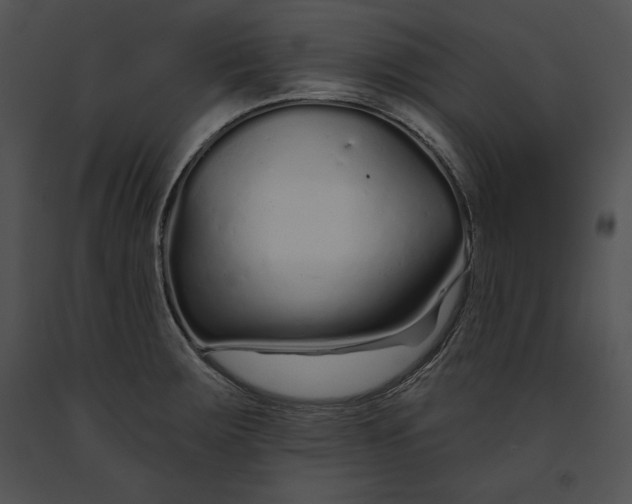 X0000091171283200708301148