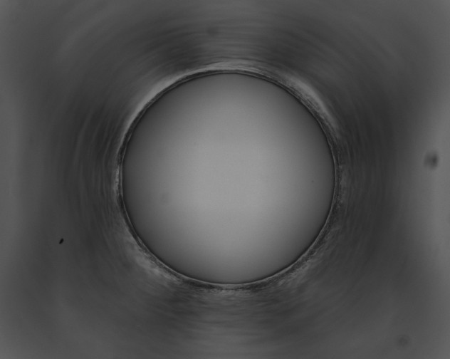 X0000091171284200708301148