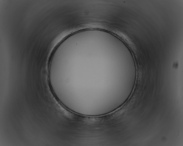 X0000091171286200708301148