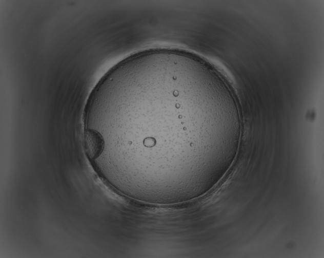 X0000091171287200708301148