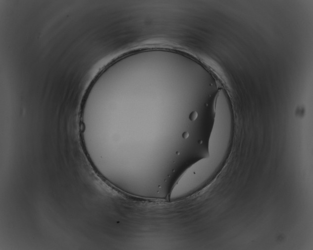 X0000091171288200708301148