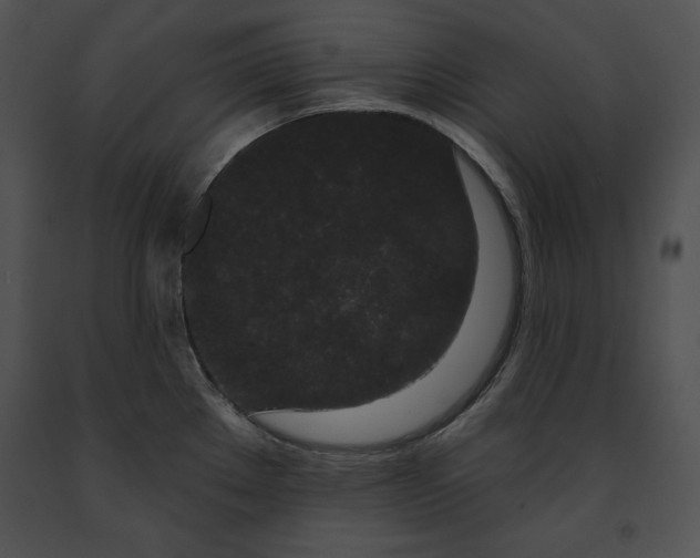 X0000091171289200708301148