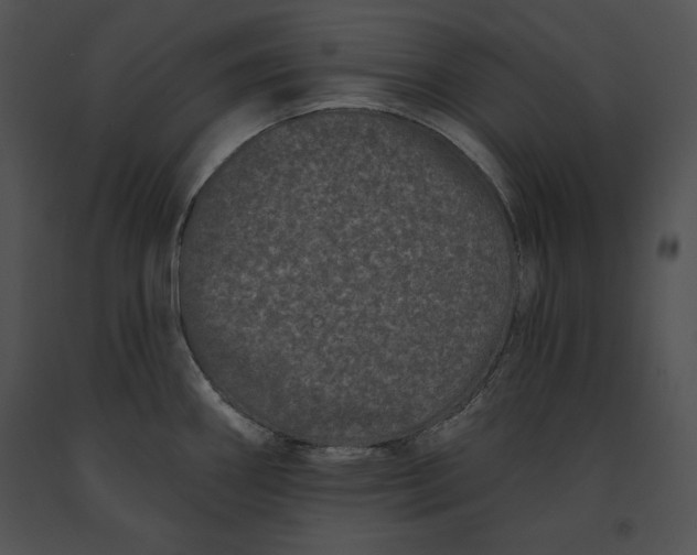 X0000091171290200708301148