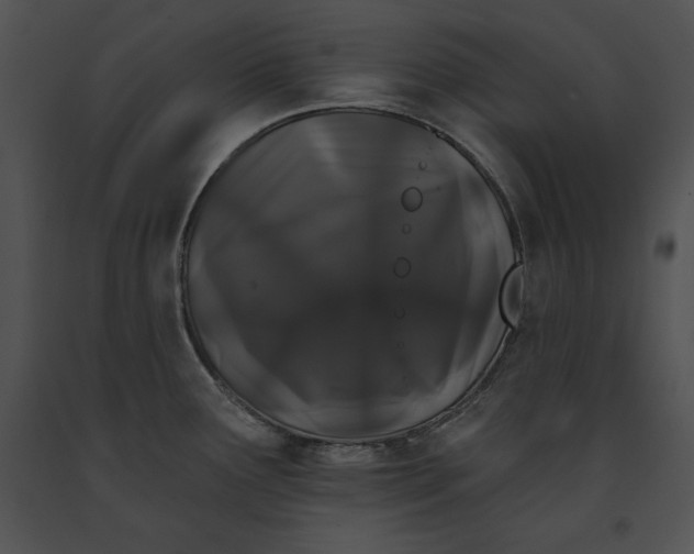 X0000091171291200708301148