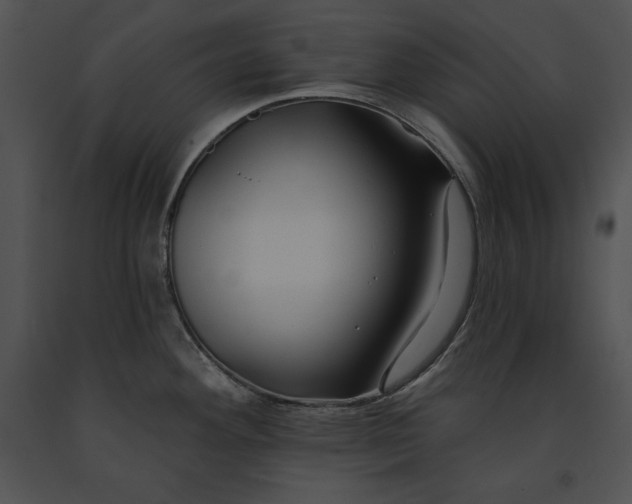 X0000091171292200708301148