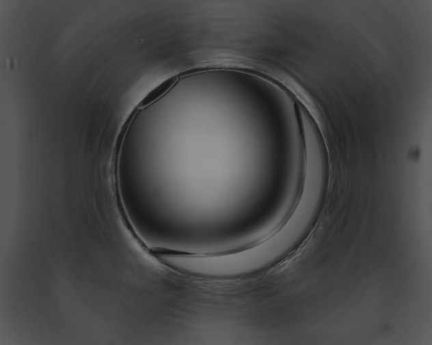 X0000091171293200708301148