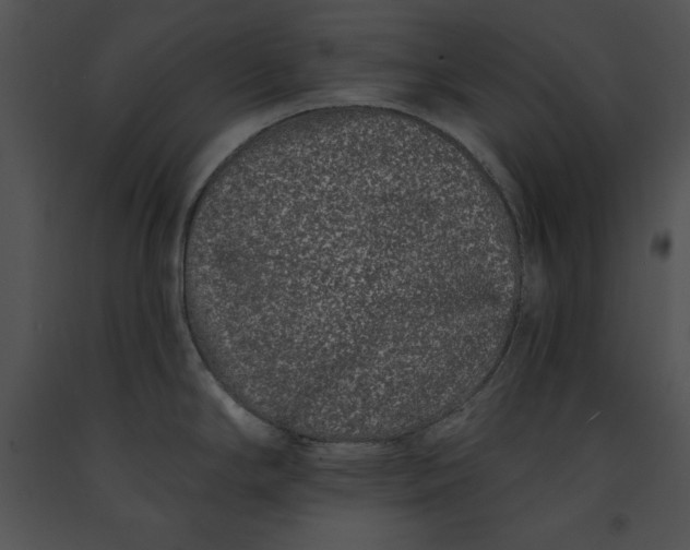 X0000091171294200708301148