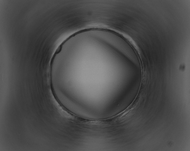 X0000091171295200708301148