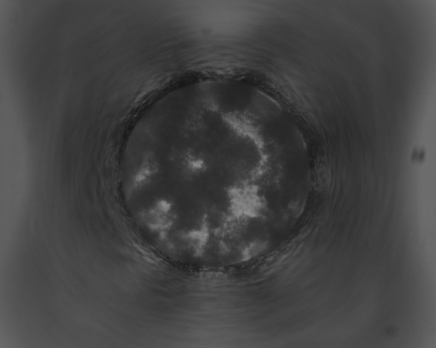 X0000091171297200708301147