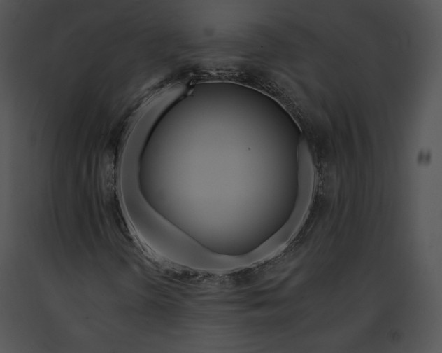 X0000091171298200708301147