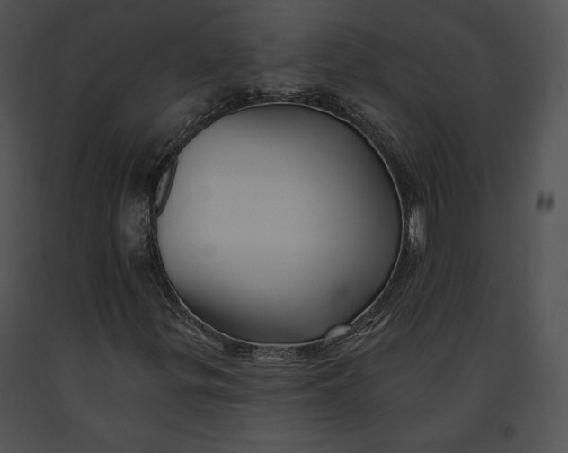 X0000091171299200708301147