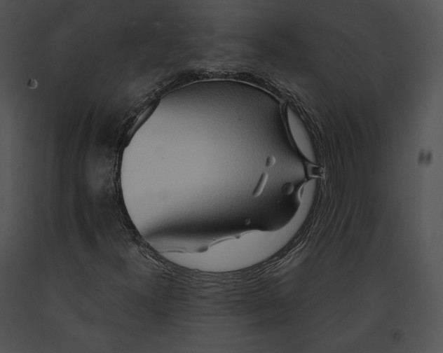 X0000091171300200708301147