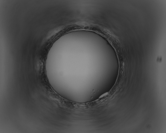 X0000091171302200708301147