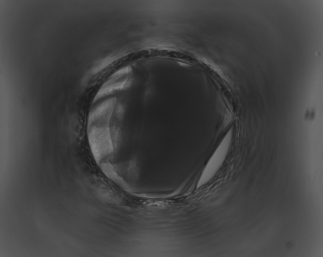 X0000091171303200708301147