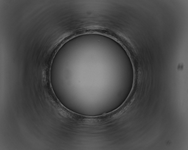 X0000091171305200708301147