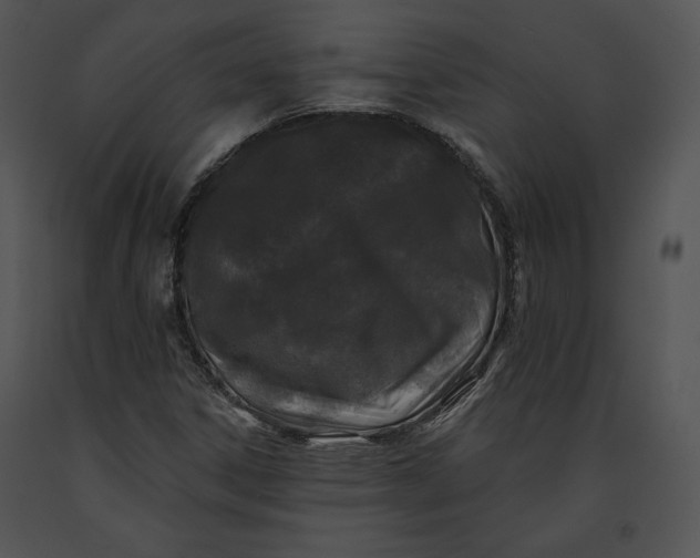 X0000091171306200708301147