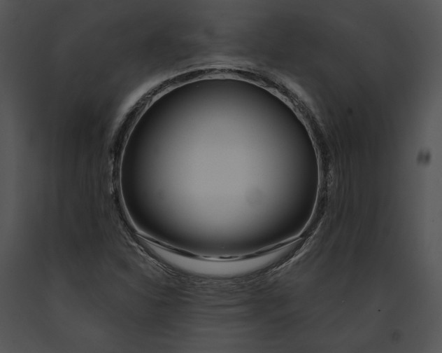 X0000091171310200708301147