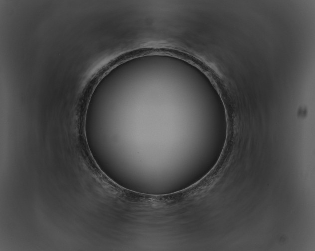 X0000091171311200708301147